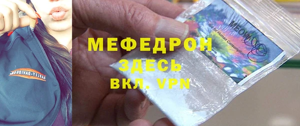 СК Алексин