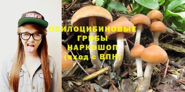 бошки Алзамай
