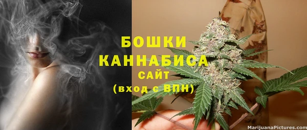 прущий лед Пересвет